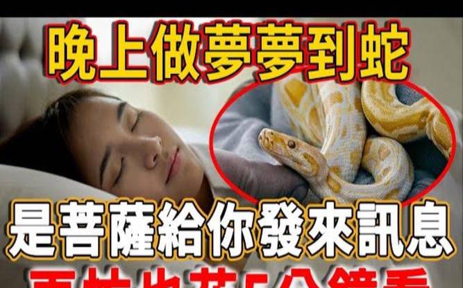 梦见蛇从屋顶掉到地上（女人梦见房顶掉蛇要发财）