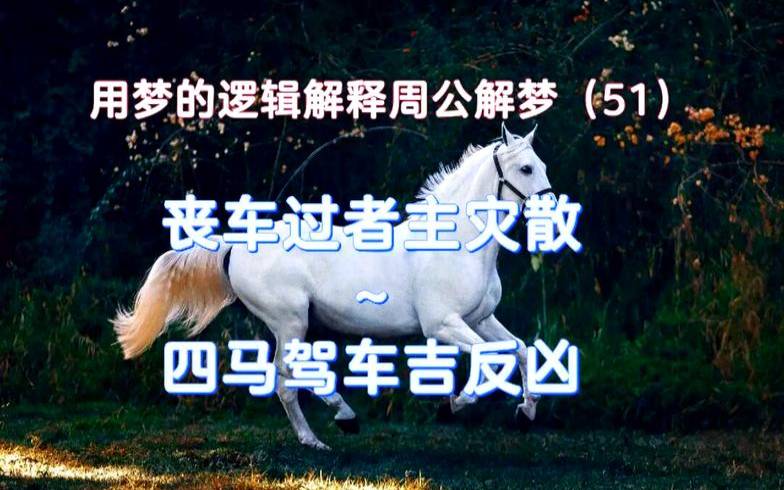 梦见白马啥意思（梦见白马要发财的征兆）