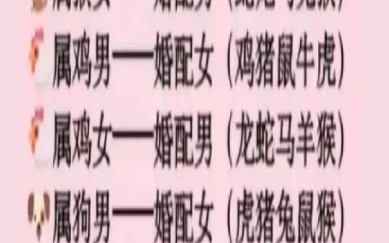 生肖男兔和生肖女龙（属相龙和兔的夫妻过得怎样）