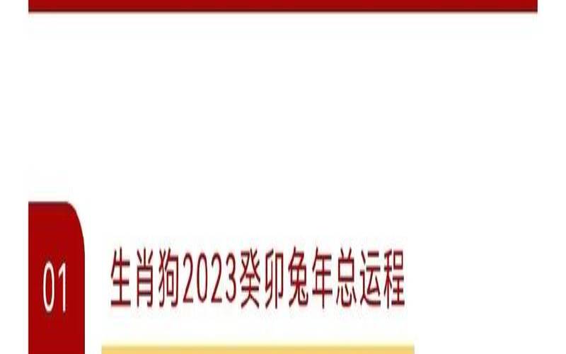 1982年属狗人2023年年运势（属狗今年创业能成功吗）