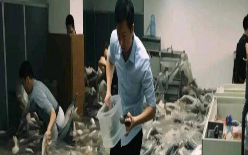 女人梦见很多鱼活蹦乱跳的（女人梦见很多鱼活蹦乱跳的）