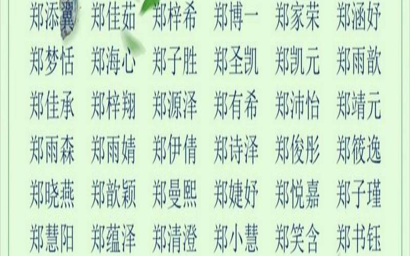 姓包男孩时尚的名字有哪些（郑姓男孩名字）
