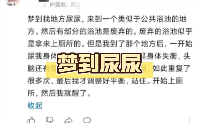 梦到女人站着尿（梦见自己在公厕小便）