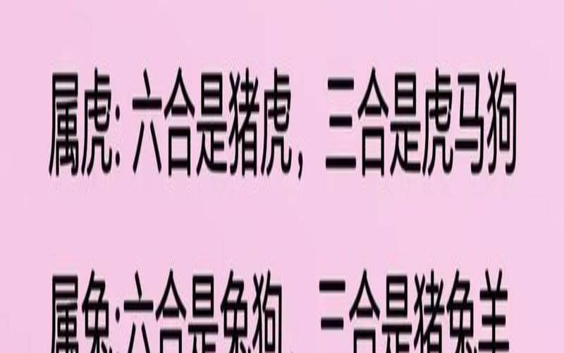 属蛇人最好的出生时辰（属蛇女做什么生意赚钱）
