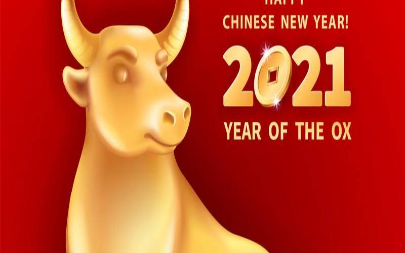 2021年3月29日出生好不好（牛年起名字大全男孩）