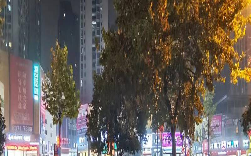 梦到下雨了什么寓意（梦见下大雨的寓意）