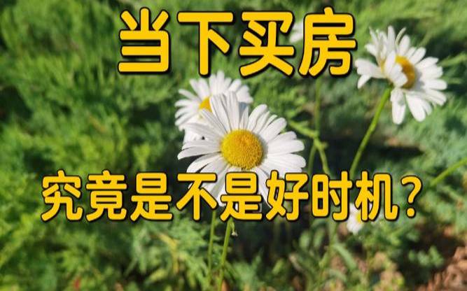 我什么时候能买得起房子（现在是不是买房的好时机）