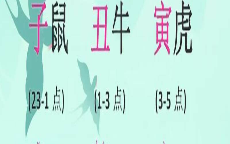 2024年的3月1日（2019年12月26日属什么生肖）
