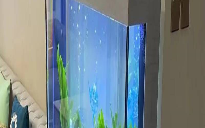 玄关鱼缸摆放风水图（客厅鱼缸正确摆放图）
