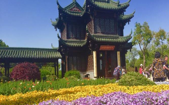 梦见万花盛开（梦见场景是在医院）
