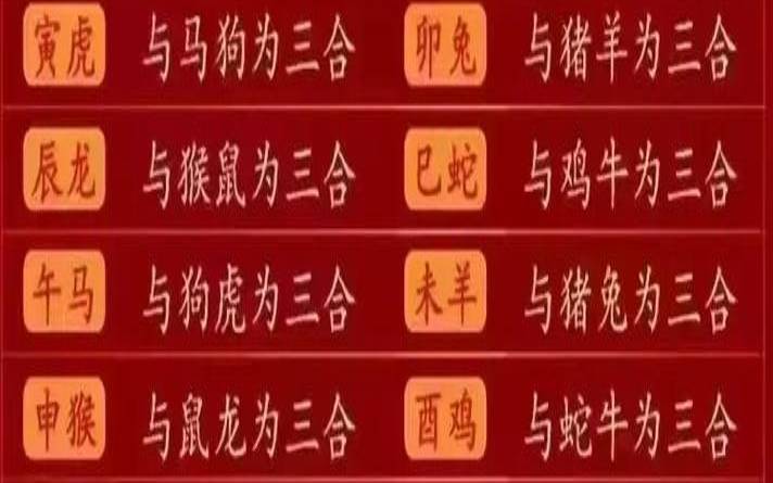 2020属鼠射手座的命运,2024年生肖运势 2020属鼠射手座的命运,2024年生肖运势