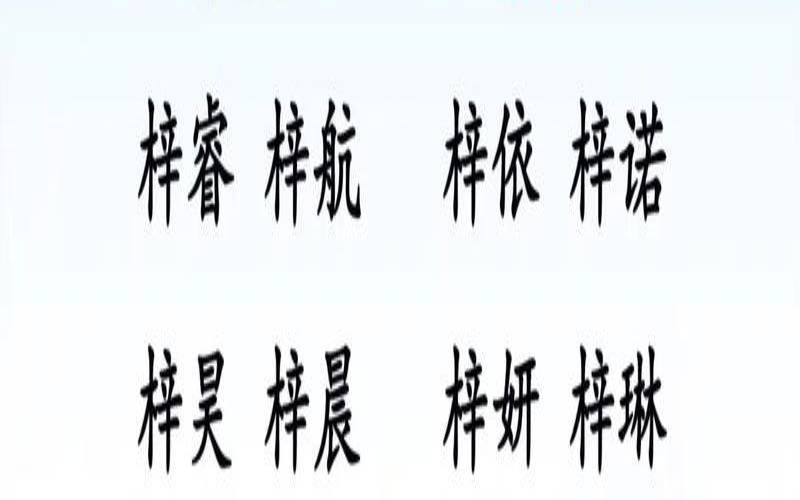带梓字的女孩名字大全（梓字取名女孩）