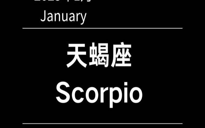 竹猫星球塔罗占卜（塔罗天蝎座2019最后一周）