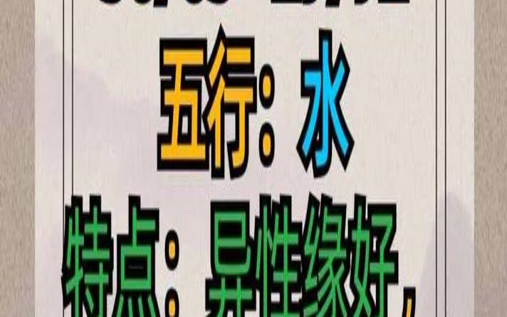 手机尾号六位数解析（手机尾数为6人的财运）