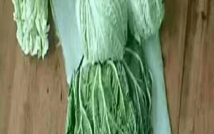 已婚女人梦见白菜好吗（40岁的女人梦见白菜）