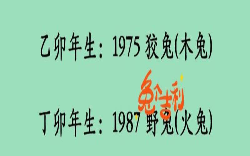 属兔寓意好的小名,属兔的小名叫什么好
