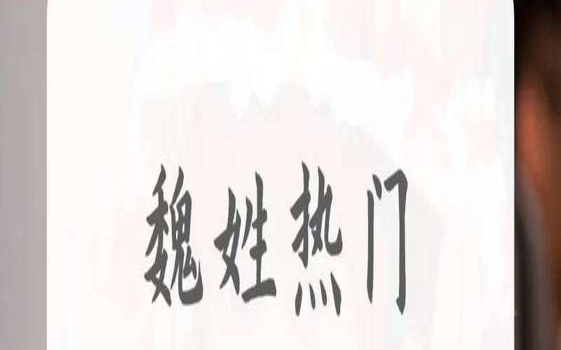 危姓女孩起名字（姓魏好听稀少的名字女孩）