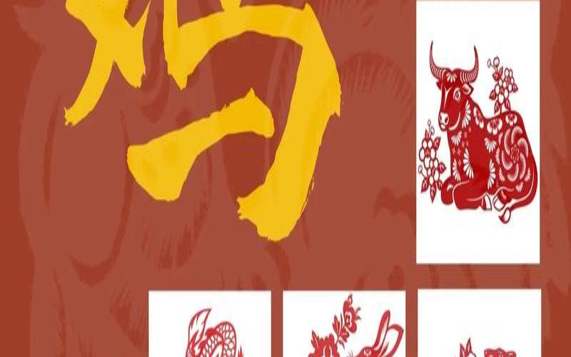 2020属鸡人全年运势如何（属鸡从事啥行业最有发展）