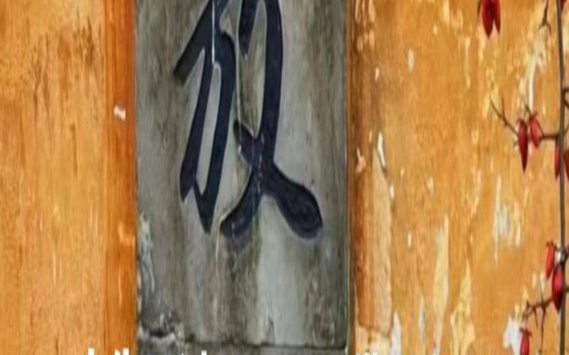 为什么感情失去比拥有踏实（在一段感情里没有安全感）