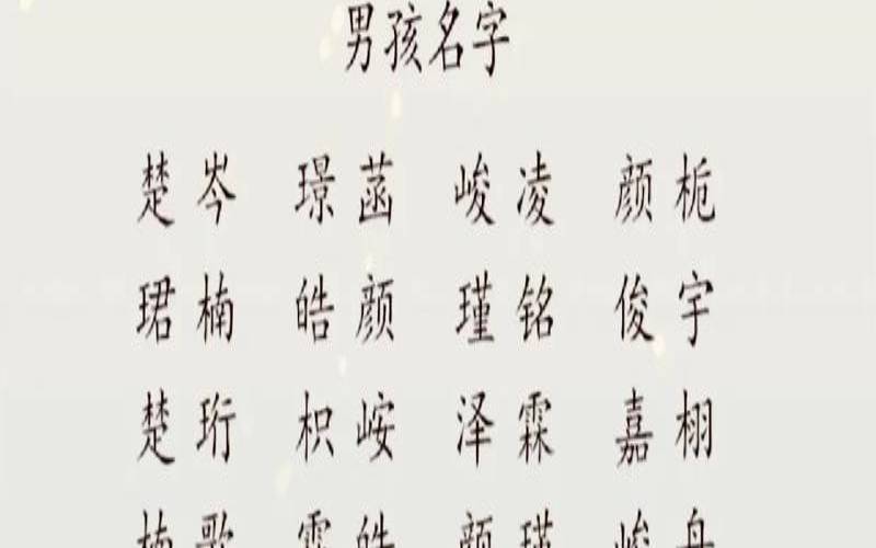 带柏字取名男孩子（男孩取名博字的意义）