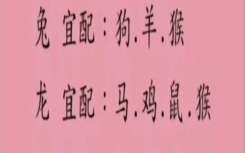 生肖龙与十二生肖配对（12生肖排序婚配表）