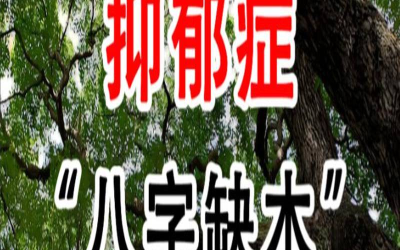 经历过感情挫折的人（容易有抑郁症的八字实例）