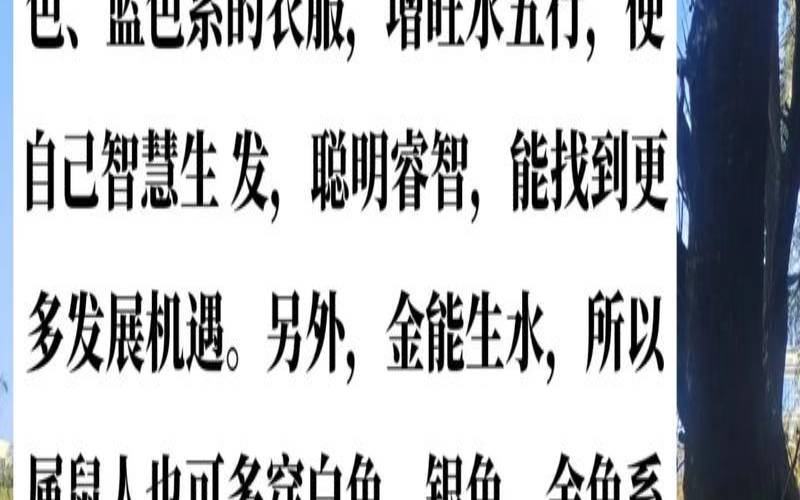 属鼠几点出生的最好最旺（1972年属鼠人财运）