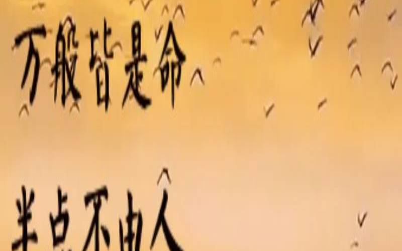 你的命运怎么样（你相信命运的安排吗）