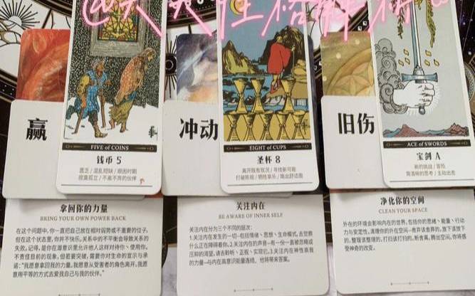 竹猫星球12星座塔罗运势8／26~9／1（竹猫星球塔罗占卜）
