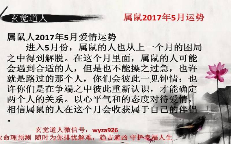 属老鼠的人2017（属鼠人做什么赚钱最好）