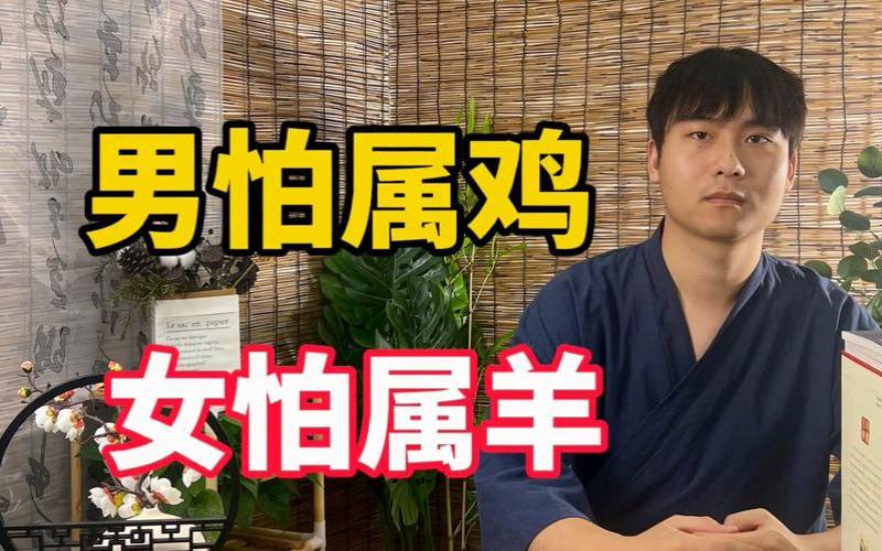 属羊和属鸡的合不合（属羊和属鸡的合不合得来）
