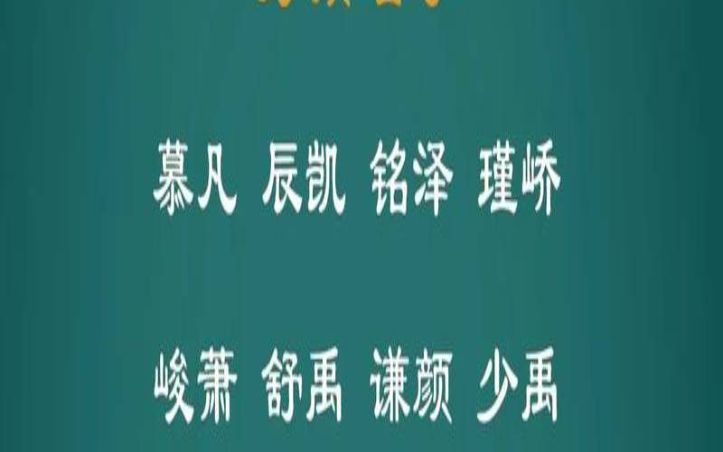2020年寅时出生的男孩名字（什么时辰出生的虎最凶）