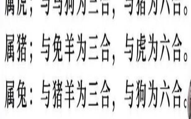 2023年3月属什么生肖（十二生肖每月运势详解）