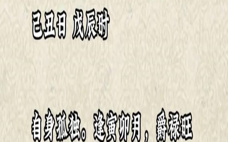 癸巳年己未月癸未日丙辰时（癸水与己土七杀化解）