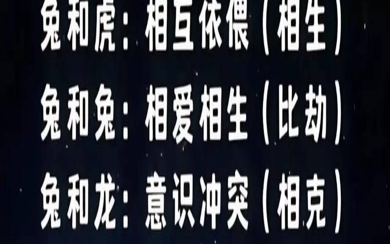 属兔的做什么生意红火,属兔的最佳方位 属兔的做什么生意红火,属兔的最佳方位
