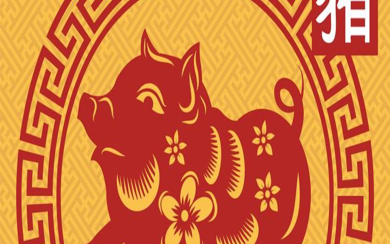 2023年9月9日是什么日子（属猪的2020年运势怎么样）