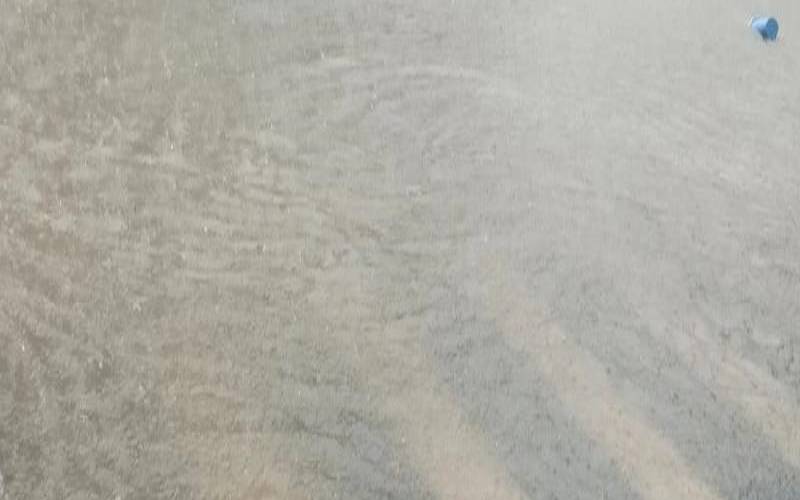 梦到和朋友一起去游泳,梦见大雨积水把路面淹了 梦到和朋友一起去游泳,梦见大雨积水把路面淹了