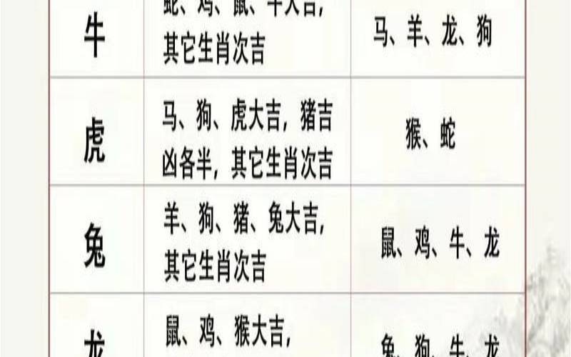 生肖龙与什么生肖最配合（鼠和马合不合）