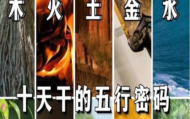 丙寅生于癸巳月（癸水能克丙火吗）