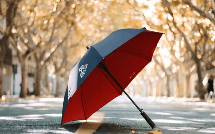 梦见雨伞破了预示着什么（女人梦见雨伞破了是吉兆吗）