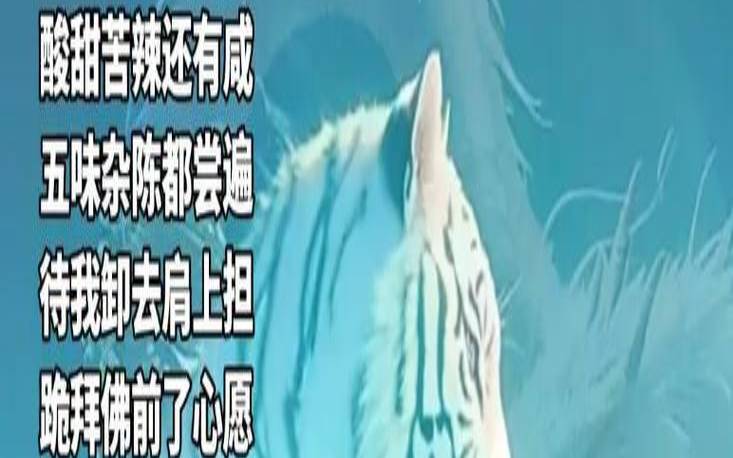 根据年份看什么命（很早就知天命的人）