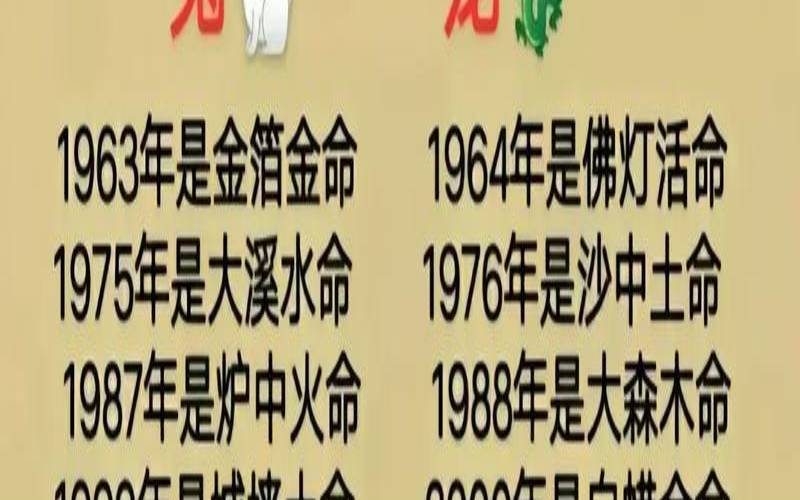 2009年出生的人五行属什么（辛未年五行属什么）
