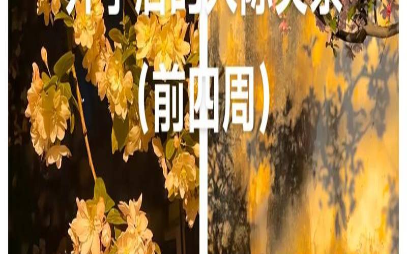 测你的人际交往能力（人际关系测试）