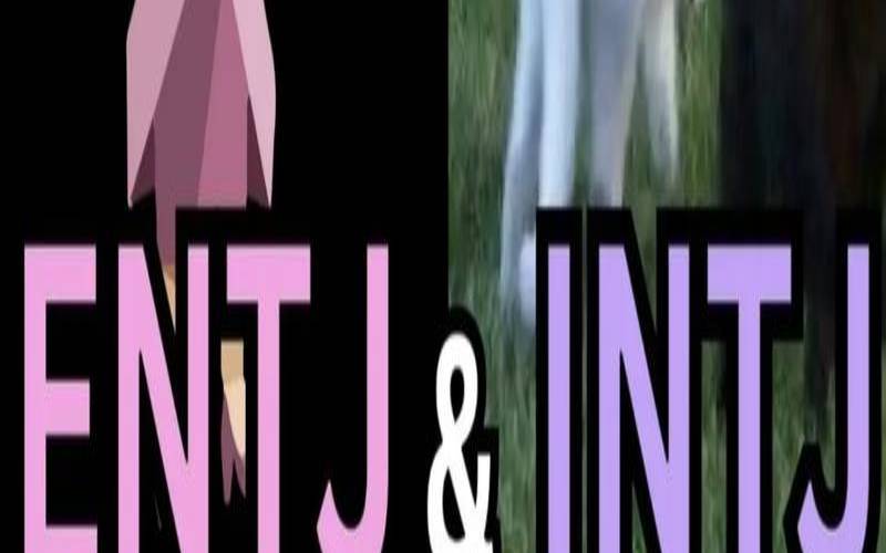 intj和infj和intp（intj与infj的区别）