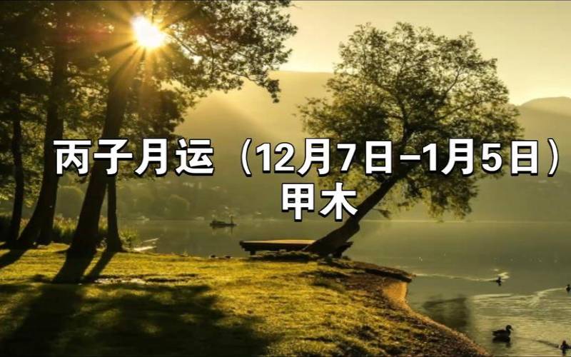 丙寅日己亥月的八字（甲己合化后甲还是甲木吗）