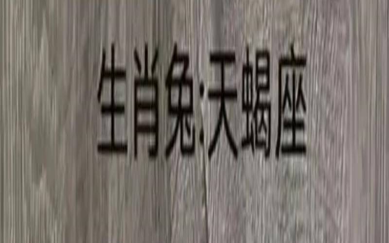 射手座配对星座配对（射手座和什么座最配对排行）