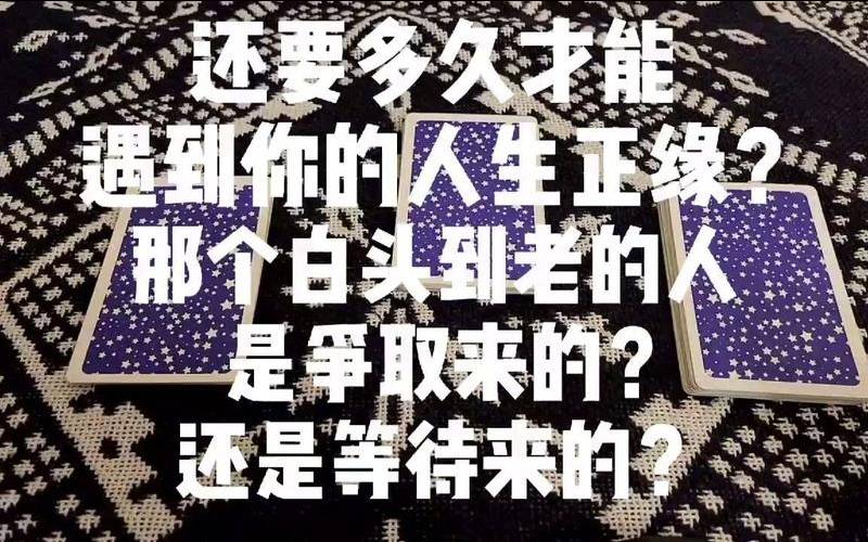 塔罗占卜白头到老（免费测正缘出现的时间）