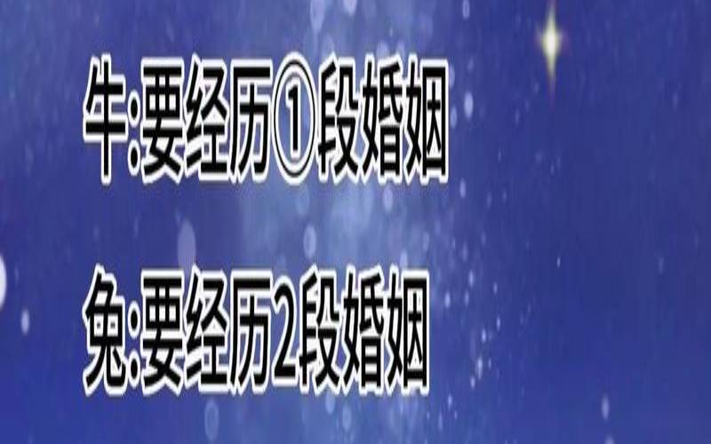测你爱别人还是爱自己,免费测个人婚姻不付费软件