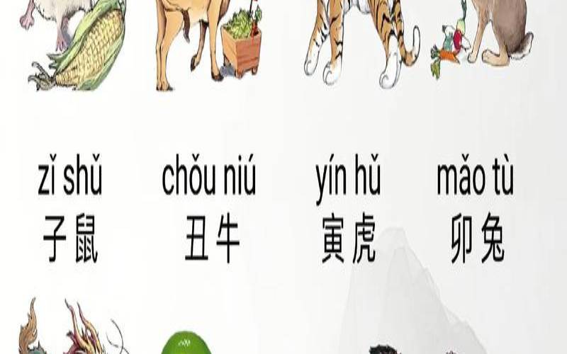 9月11日生肖运势,80-91年中国首轮生肖