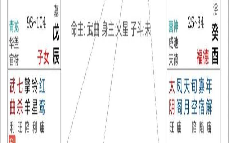 破军星在疾厄宫入庙（子女宫破军有孩子吗）